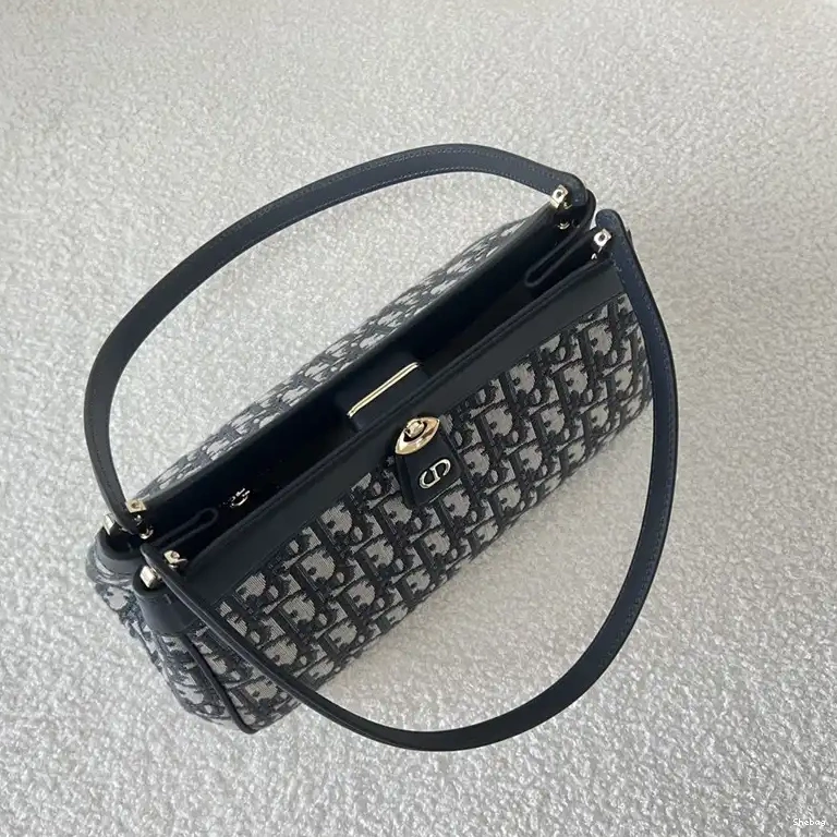 2306YZ0058 Bag Dio 0523